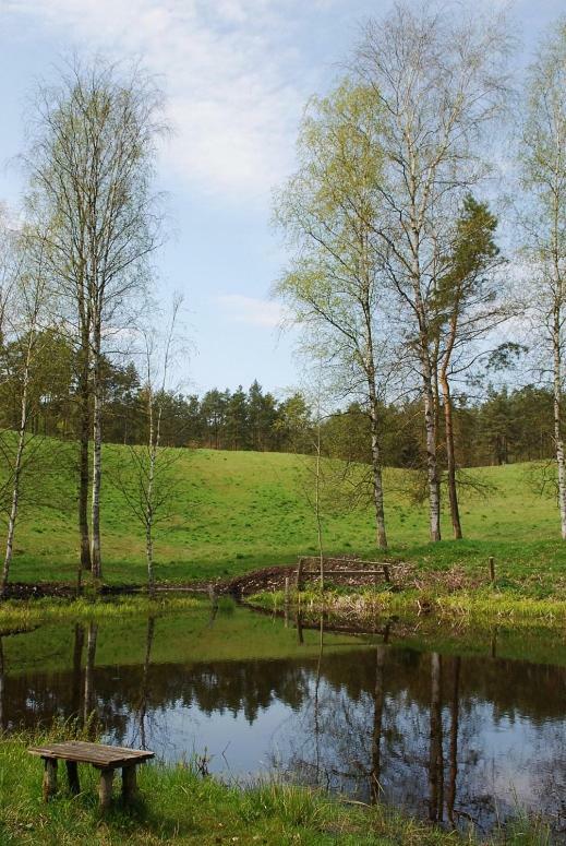 Pod Kogutkiem Vila Kruklanki Exterior foto